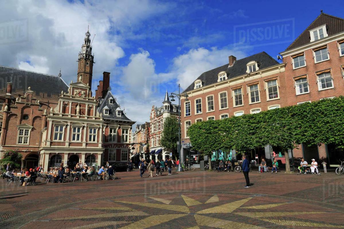 Feels Like Home Haarlem Exteriör bild