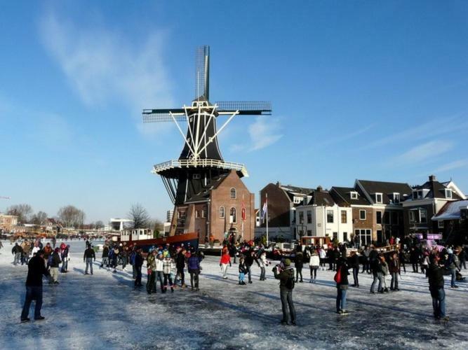 Feels Like Home Haarlem Exteriör bild