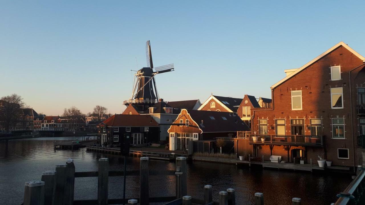 Feels Like Home Haarlem Exteriör bild