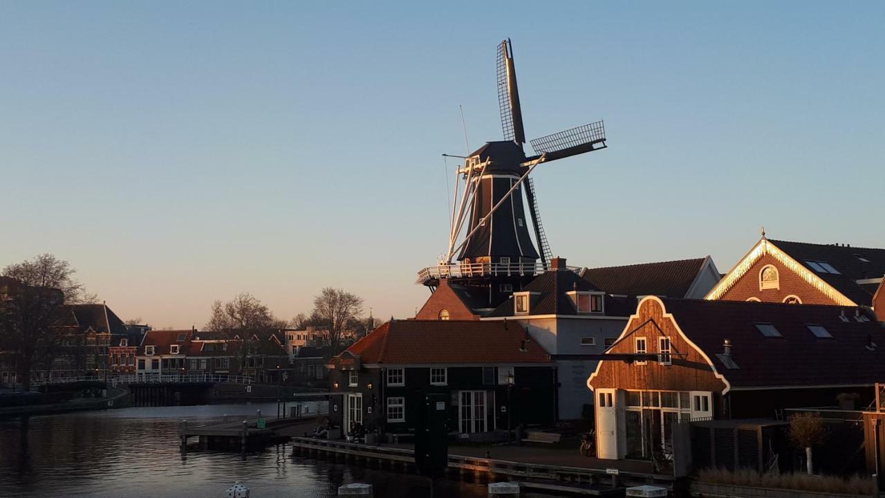 Feels Like Home Haarlem Exteriör bild